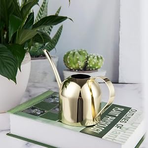 Small Watering Can