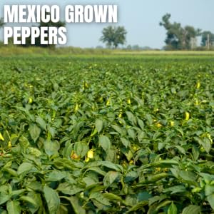 Peppers Dried Mexican Red Spices Pepper Natural no additives authentic Chili Mexican De Arbol Hot