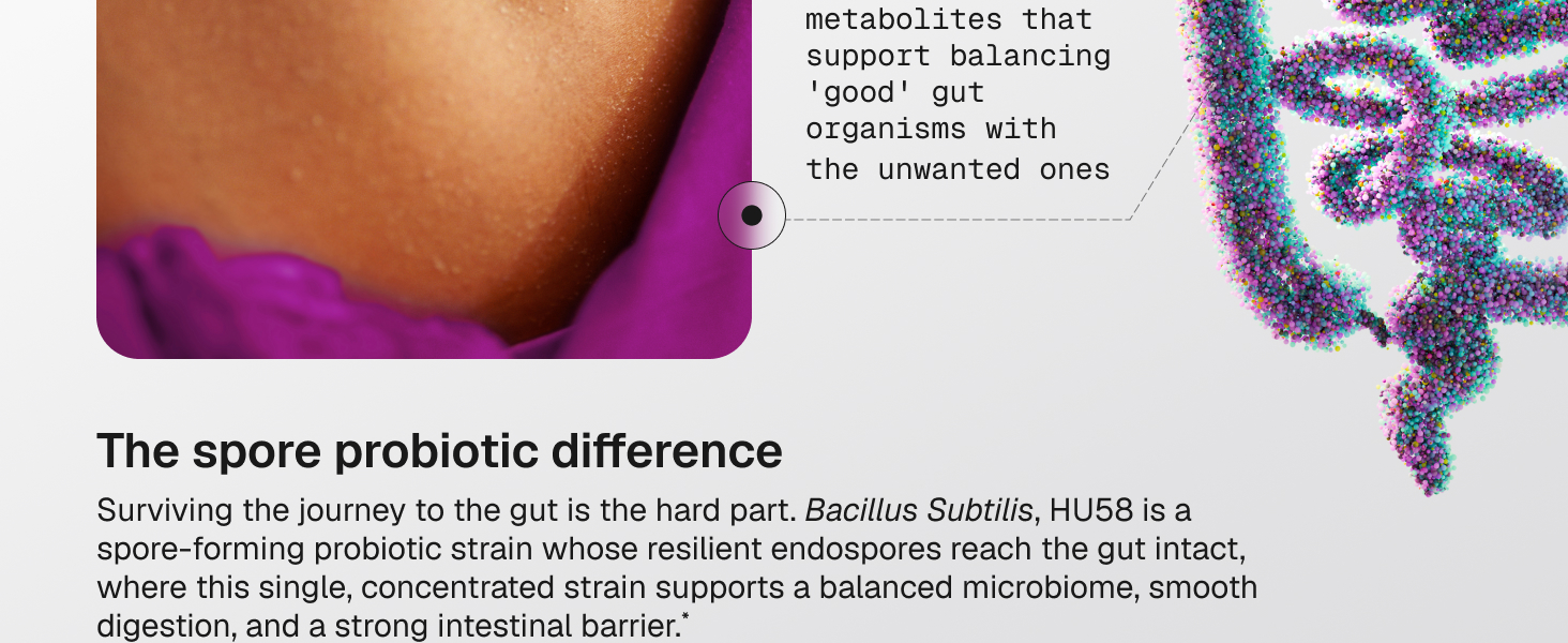 probiotics for women and men probiotic supplement