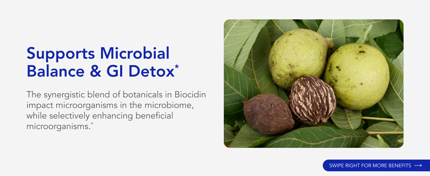 Broad-Spectrum Botanical Drops for Microbiome Balance Biofilm Buster Gut Detox Cleanse Routine