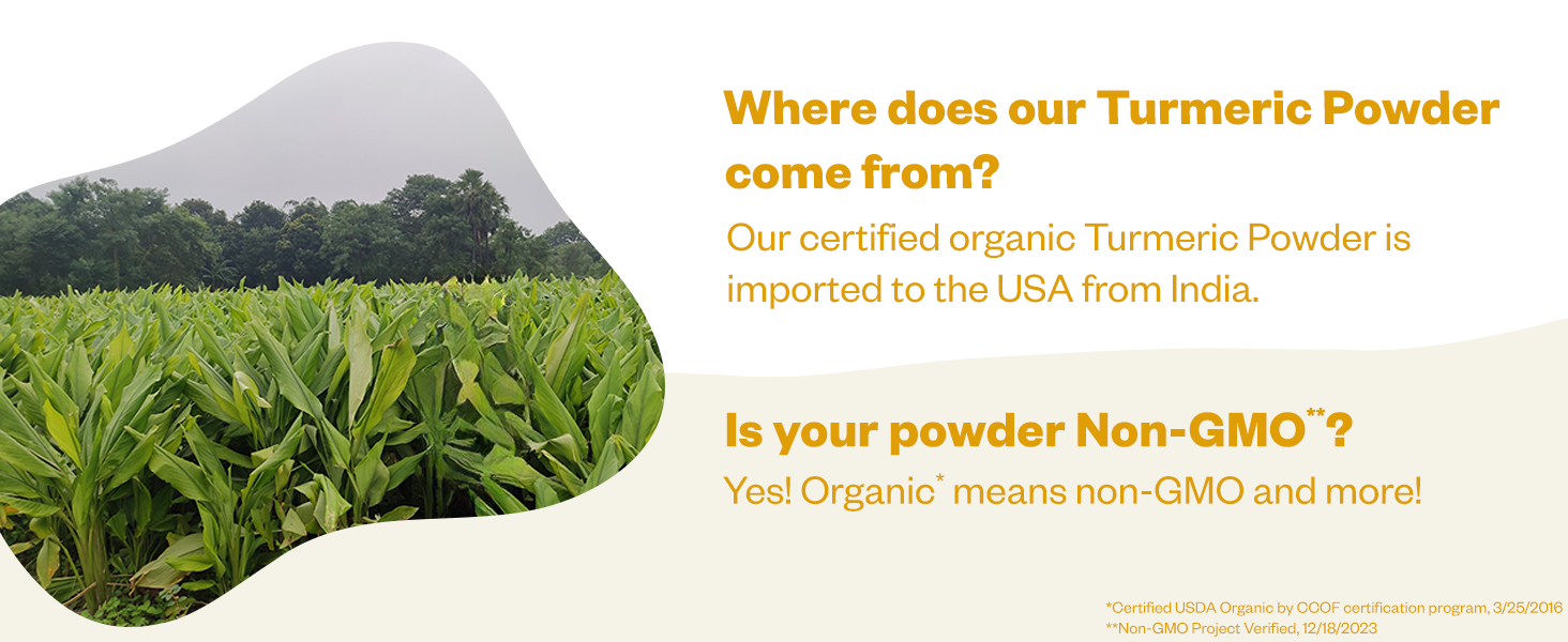 Turmeric Powder comes from India
