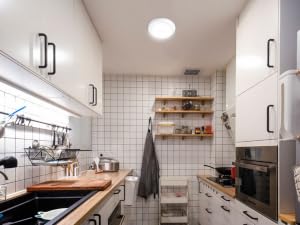 TOOWELL Wireless Ceiling Light Motion Sensor Activated Light Indoor