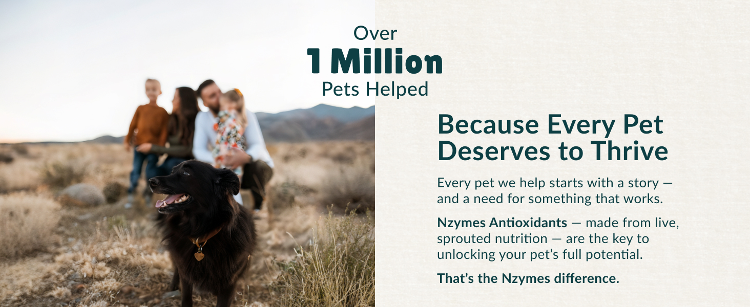 1 million pets helped