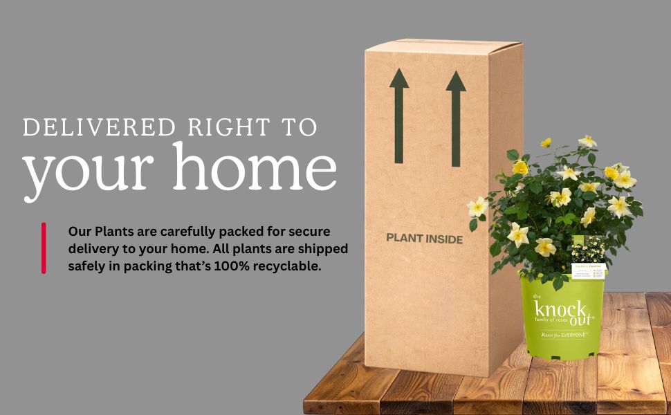 Delivered right to your home