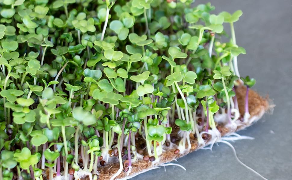jute mat micro mat hydroponic microgreen growing medium handy pantry