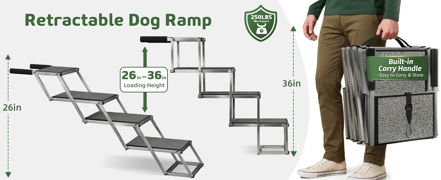 Dog ramp