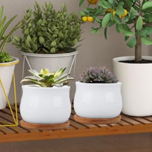 pots