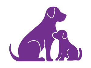 dog bladder support, urinary health, incontinence relief, cranberry chews, senior dog supplement