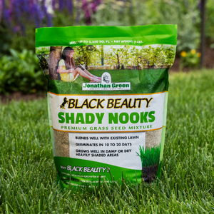 jonathan green black beauty grass seed lawn care