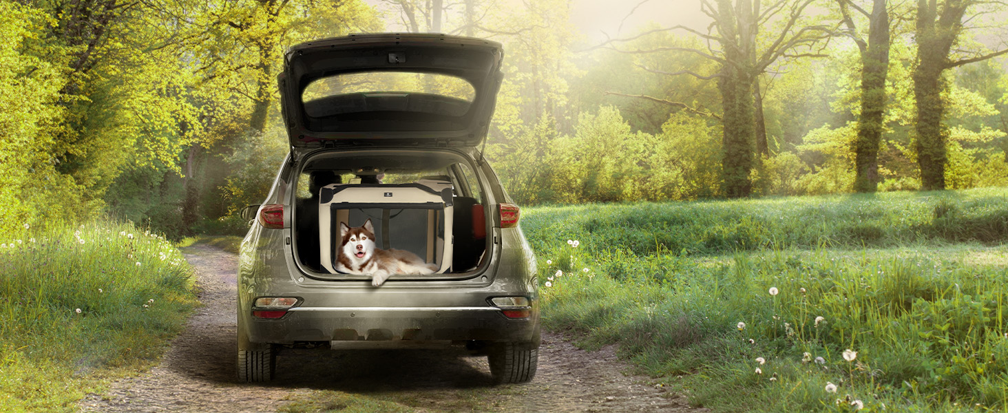 Collapsible Pet Kennel