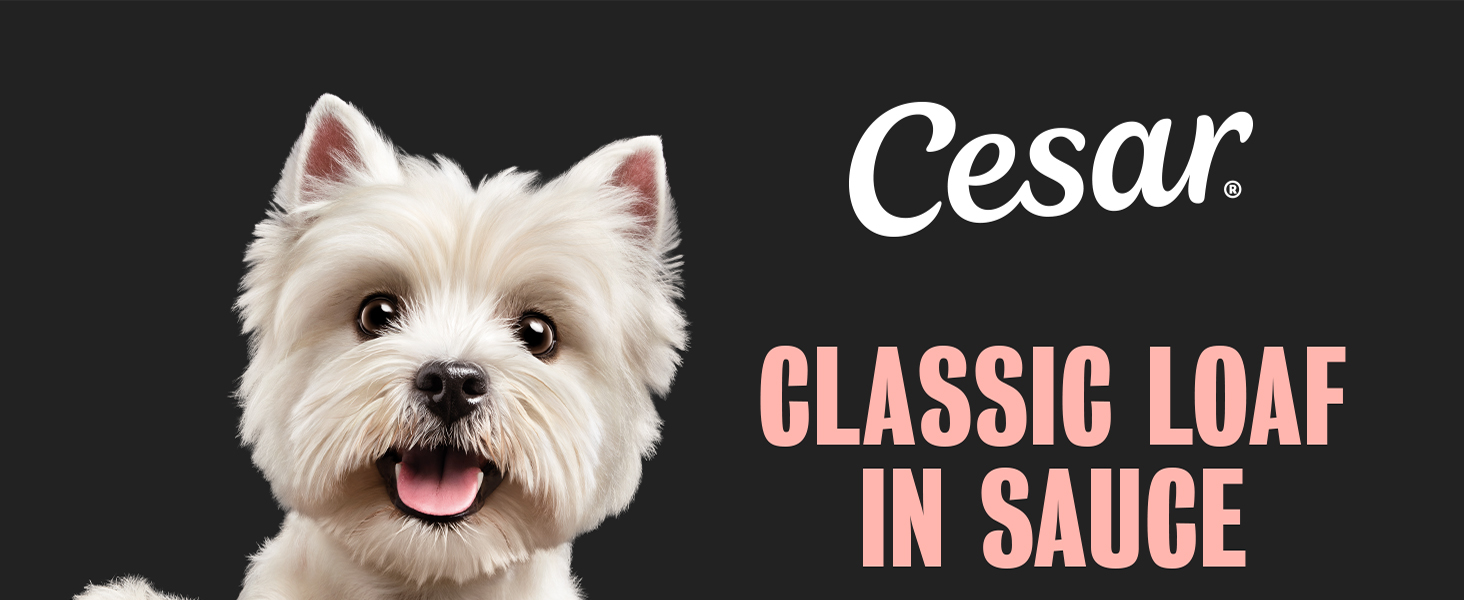 cesar