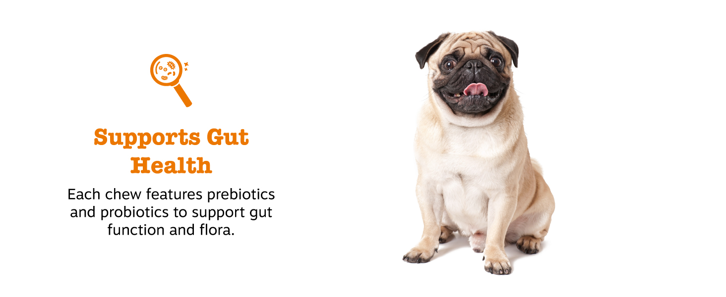 Supports Gut Health