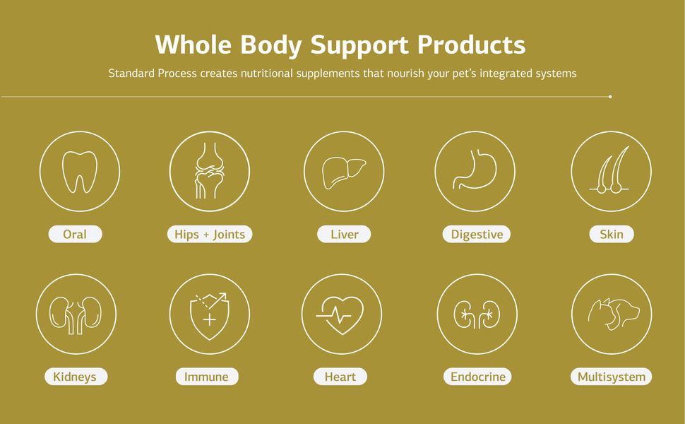 Whole Body Support Products