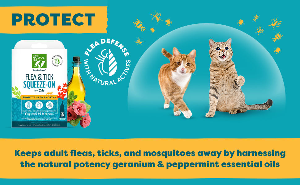 cat birth calm pack mite prevention kittens topical treats parasite treatments -110lbs desparasitar