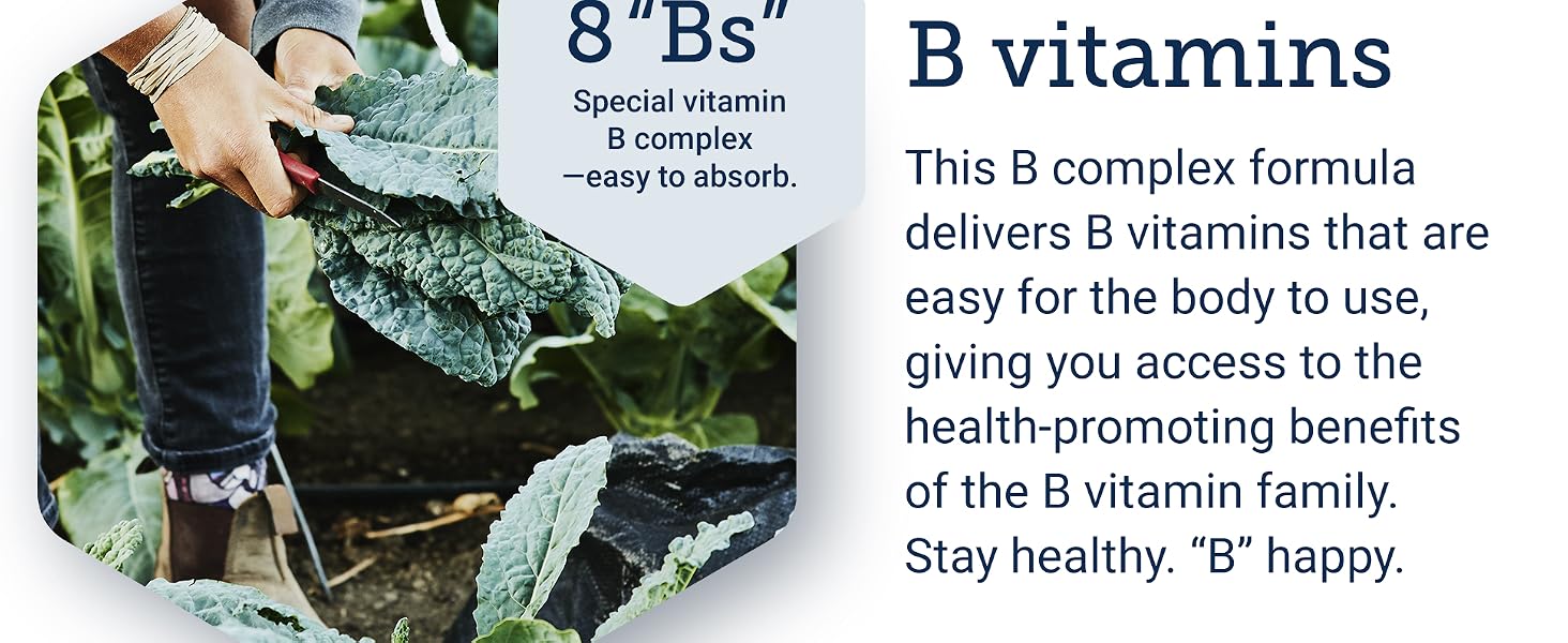 vitmamin b supplement