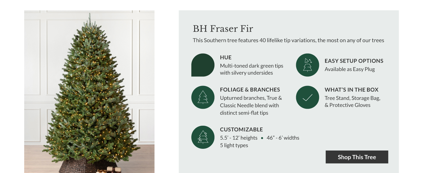 Balsam Fir BH Fraser Fir features 40 lifelike tip variations, the most on any of our trees