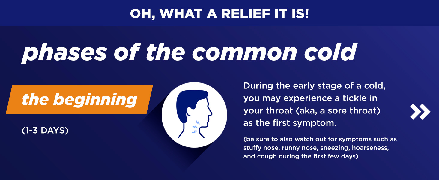 phases of a common cold