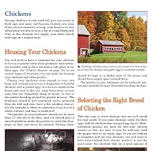 Raising Chickens