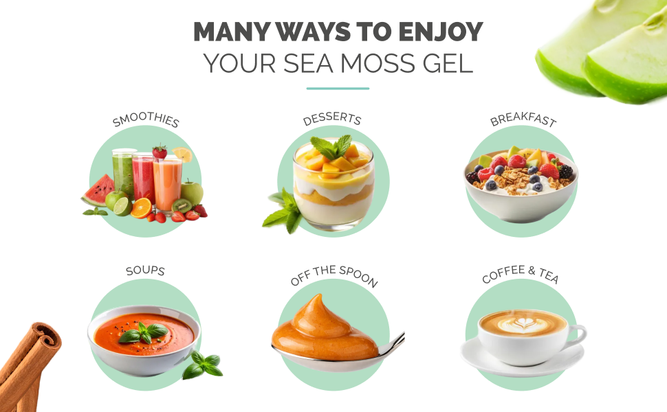 Wildcrafted Sea Moss Gel, Irish Sea Moss Gel, Fruit Flavored Sea Moss Gel, Raw Sea Moss Gel