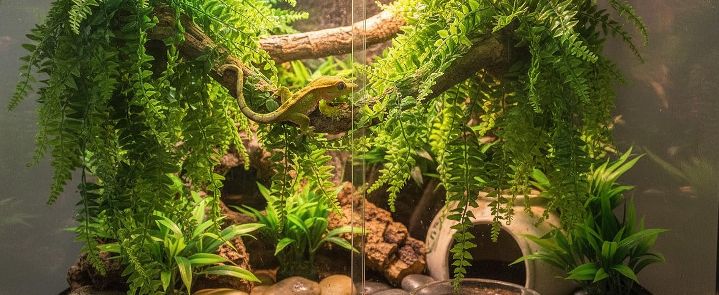 Reptile Plants