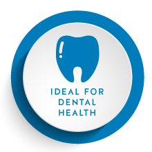 dental health