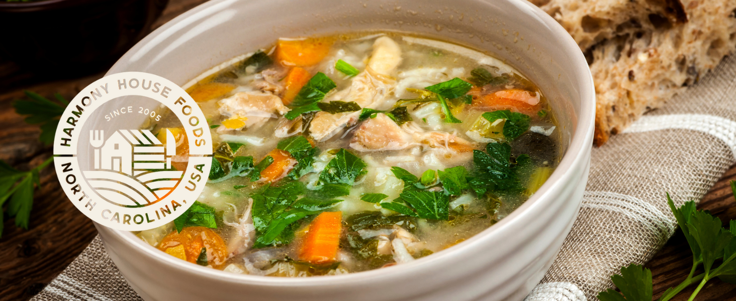chicken noodle soup