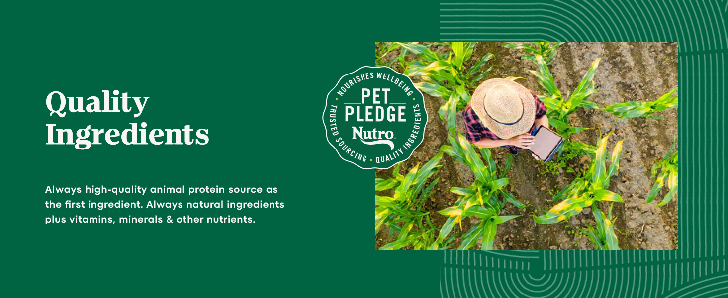 Nutro Quality Ingredients