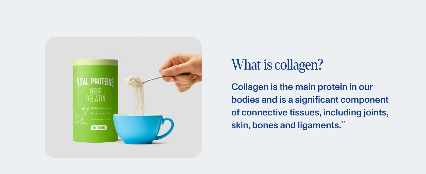 collagen gelatin