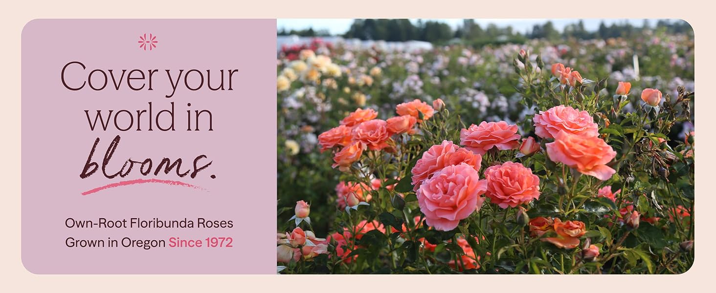 Cover your world in blooms.