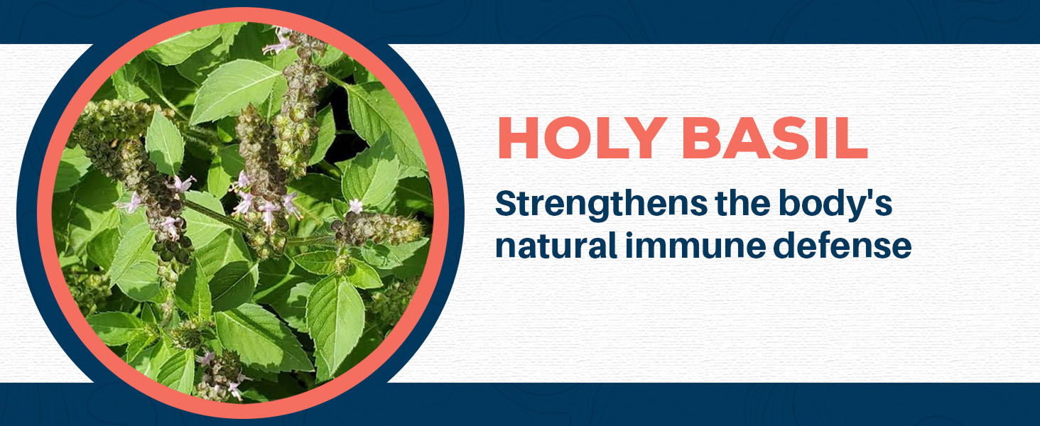 detox repair cop vitamins infection medicine kidneys best gummies improve vegan restore herbal