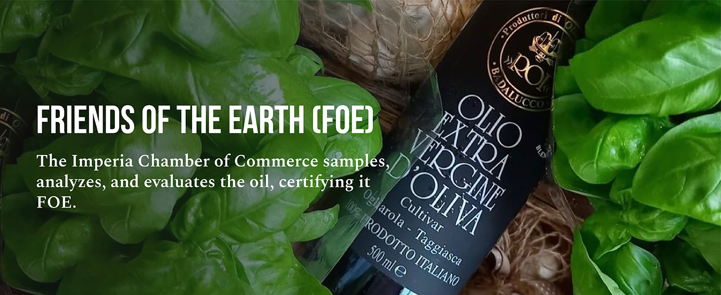 ROI Cultivar Ogliarola-Taggiasca Ligurian Italian extra virgin olive oil italian olive oil
