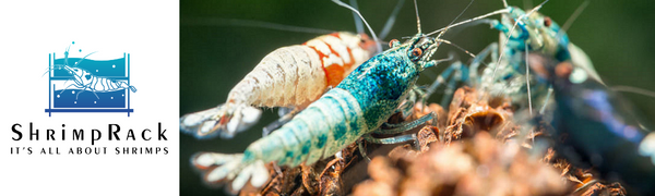 Shrimprack