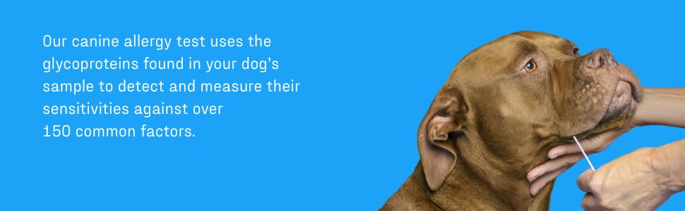 Canine allergy test