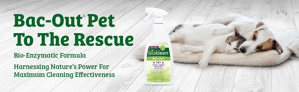 pet stain remover from biokleen