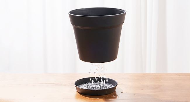 Pots for Plants