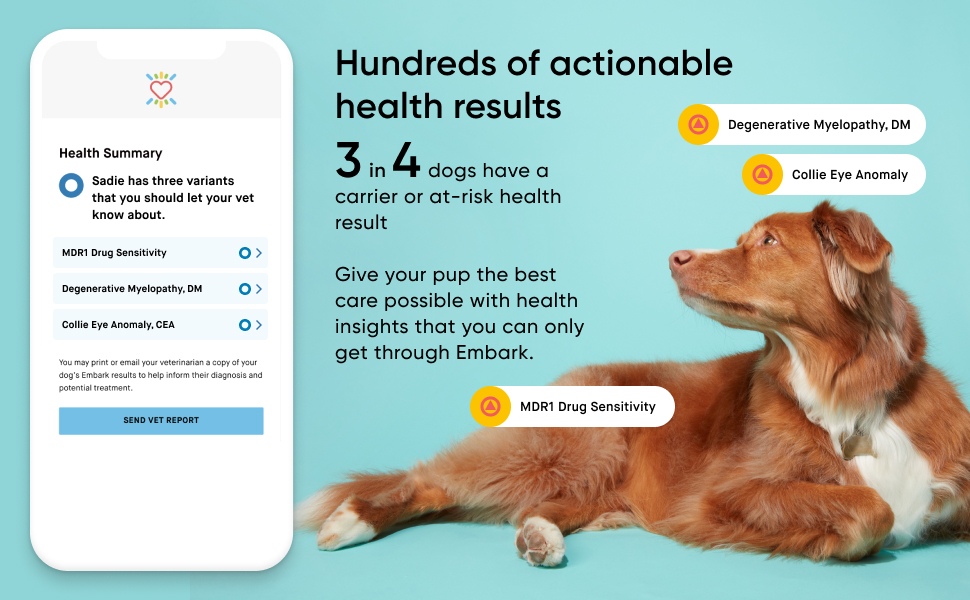 3 in 4 dogs have a carrier or at-risk health result Give your pup the best care possible