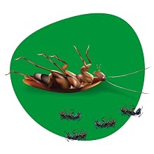 gnat traps house indoor roach ant killer cockroach home fly bait raid terro outdoor liquid pest