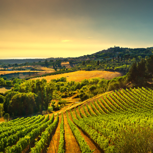tuscany italy balsamic vinegar modena italia