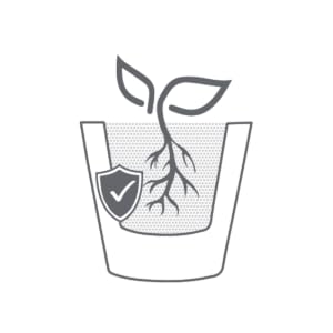 Image of a planter showing double-walled construction