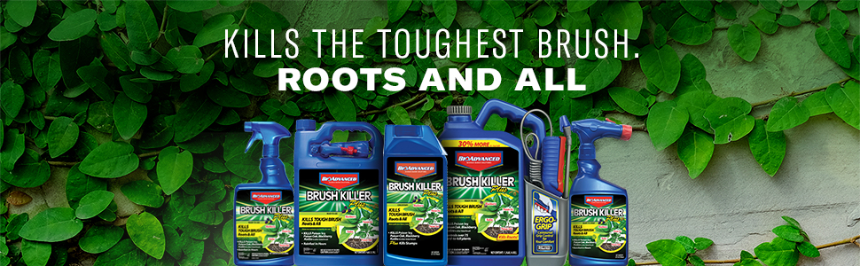 BioAdvanced brush killer kills the toughest brush