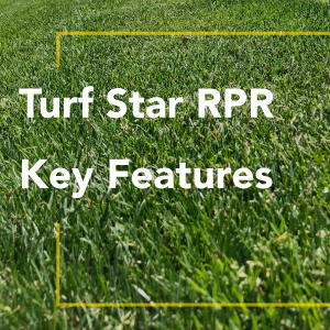 green grass, golf, moss, grow, spray, rake, top soil, fescue, outdoor, starting, yard, bags, feed