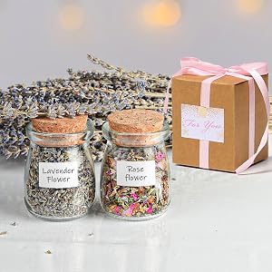 gifr jar