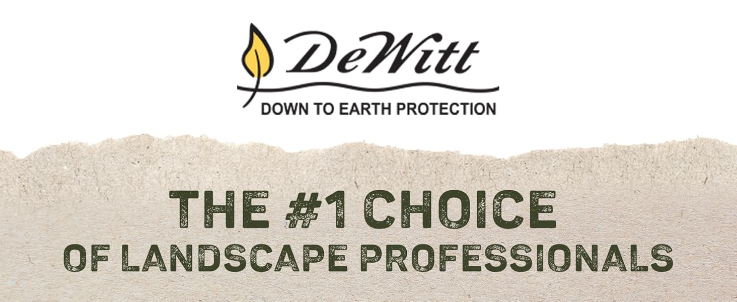 dewitt