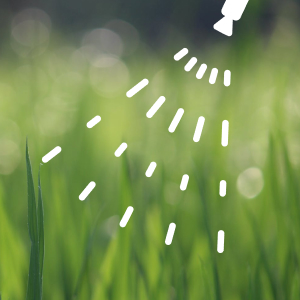 Grass Out Max