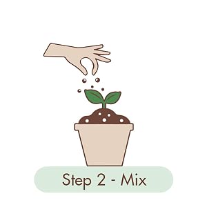 Indoor plant