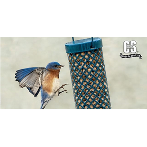 aplus content image