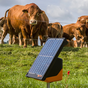 gallagher electric fence charger energizer solar livestock cattle horse dog pet wireless joule mile