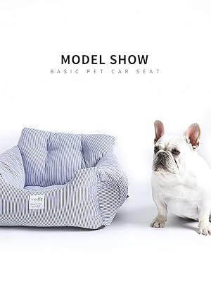 model show