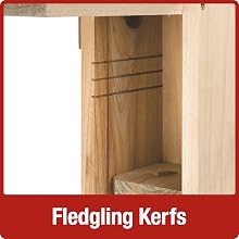 Fledgling Kerfs
