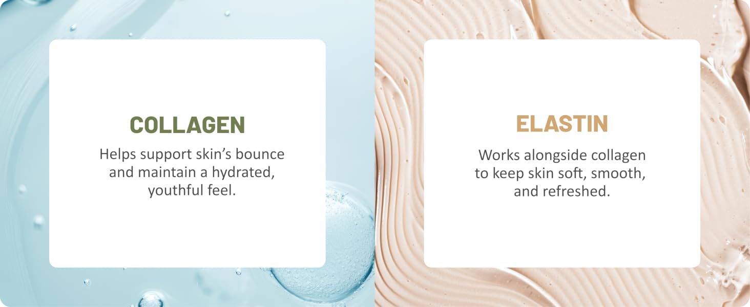 Collagen &amp;amp; Elastin